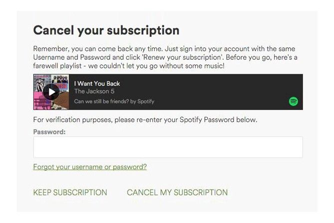 Beautiful Exit: Beispiel von Spotify